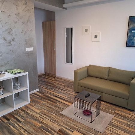 Apartments And Rooms Lorena 236 ロヴィニ エクステリア 写真