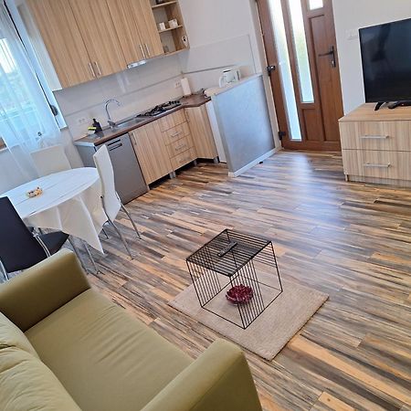 Apartments And Rooms Lorena 236 ロヴィニ エクステリア 写真